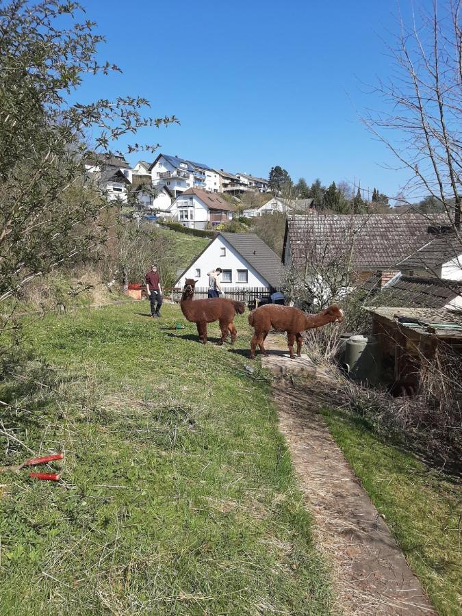 Ferienwohnung Traumblick - A33054 Morschen Dış mekan fotoğraf